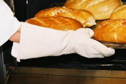 Picture of PAIR OF LYNN RIVER BAKERS GLOVES (600MM LENGTH)