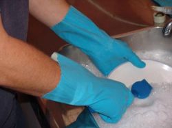 Picture of CTN 144 PAIR LYNNRIVER GLOVEPRO BLUE SILVERLINED GLOVES (XL)