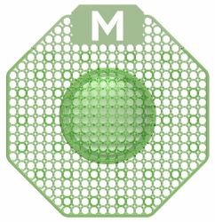 Picture of ENZYME URINAL SCREEN GREEN - CUCUMBER MELON